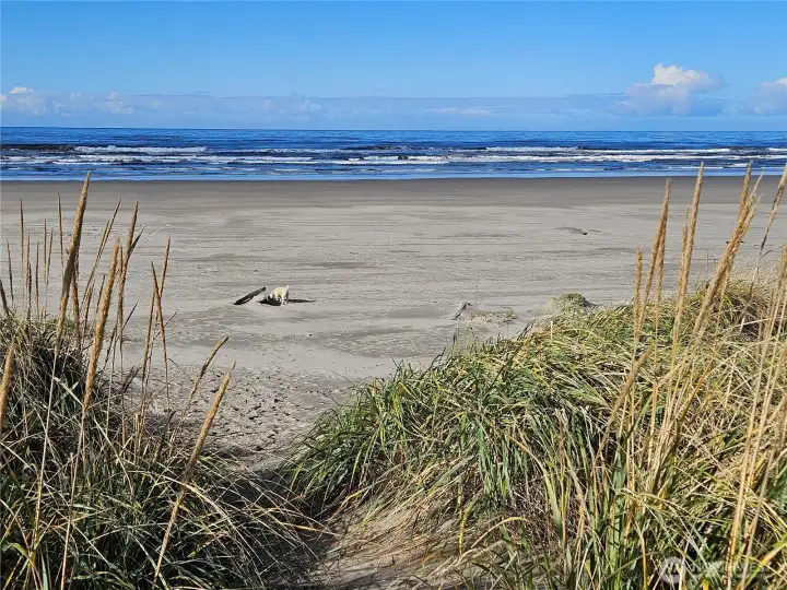 a walk on the beach and...