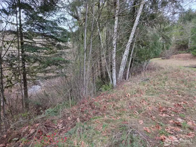 Creek to the left from this view.