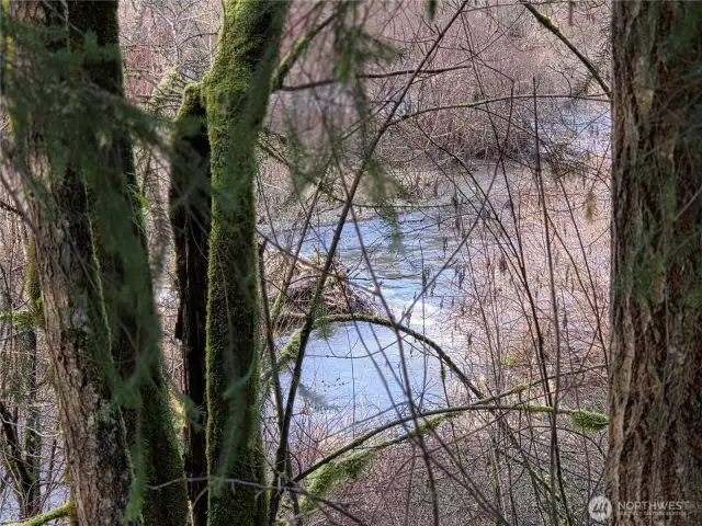 Waddel Creek Views