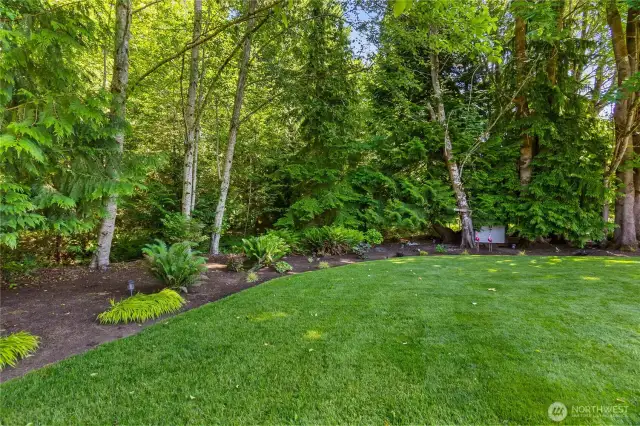 The connection to nature feels immediate and calming, grounding every moment spent outside and yet you are close to town, The Evergreen State College and trails to explore.  Welcome home!