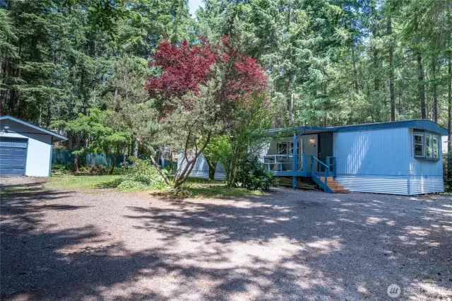 View from driveway