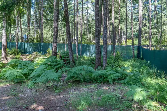 Privacy fencing
