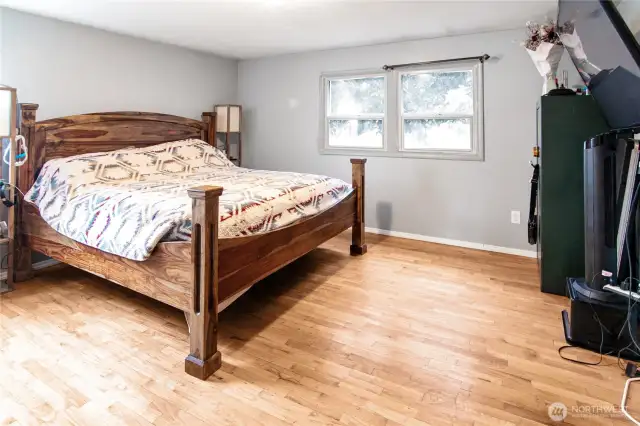Larger (Primary) bedroom downstairs