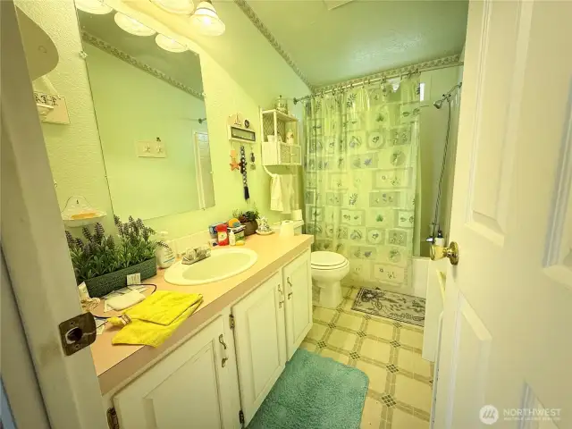 Full guest bathroom