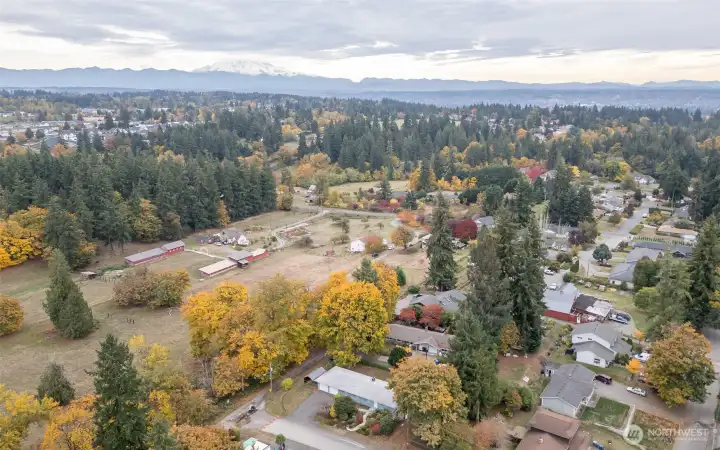 You will love this peaceful, quiet neighborhood overlooking pasture land with partial winter views of Mt Rainier
