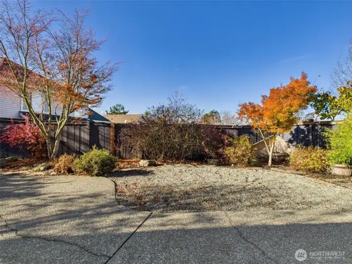 Back yard oasis with patio