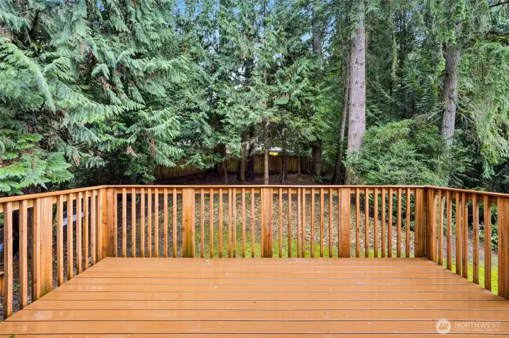 Large two-level deck off the kitchen with access to the backyard
