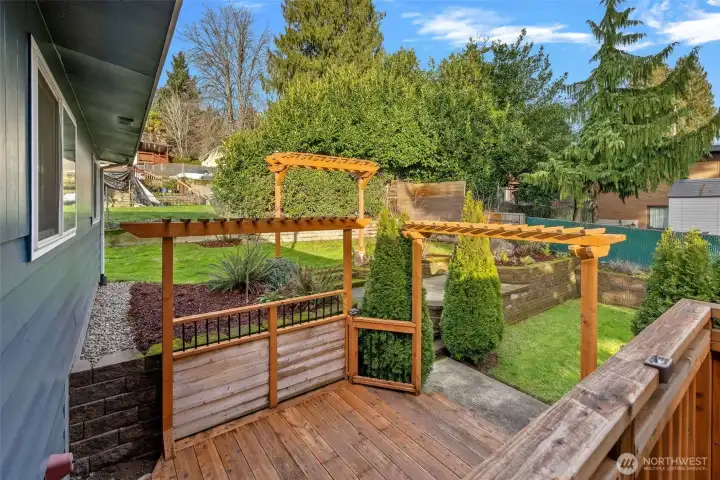 Outdoor entertaining space