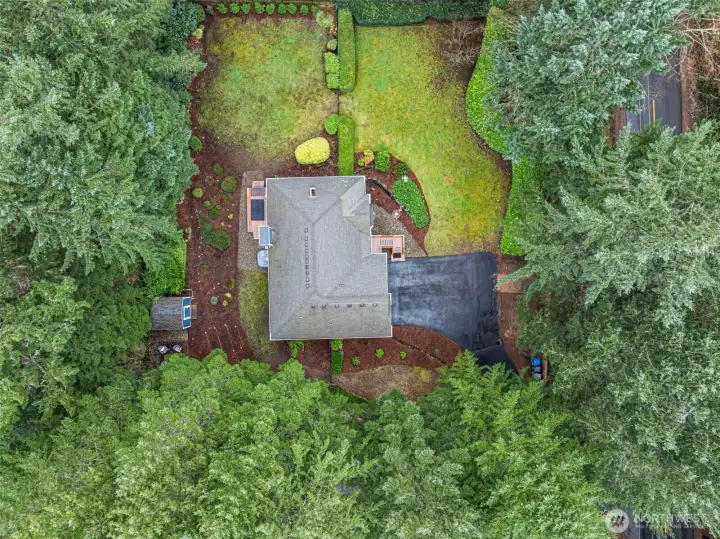 Mature, landscaped privacy screen