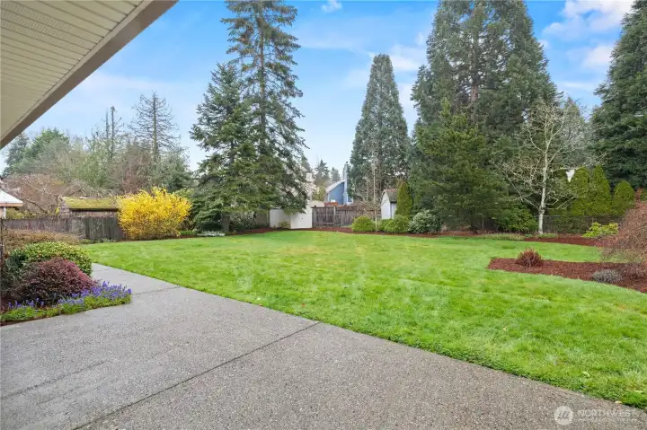 Generously Sized Backyard