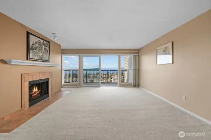 Wood burning Fireplace