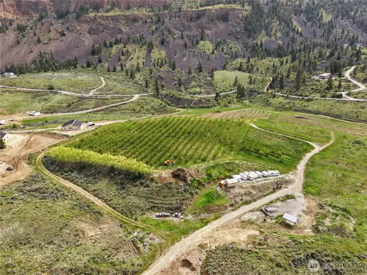 Overhead view of entire acreage