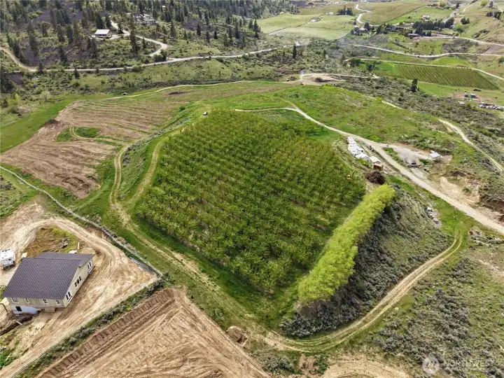 View of entire acreage from northeast corner