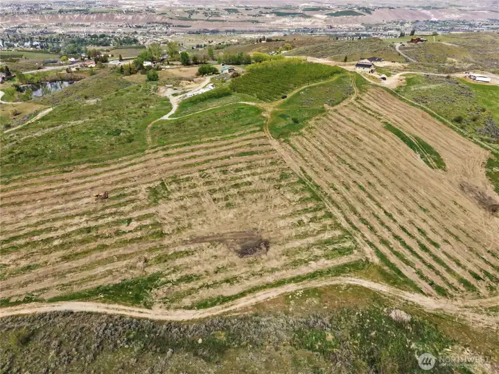 Panoramic view of acreage from the South boundary looking North