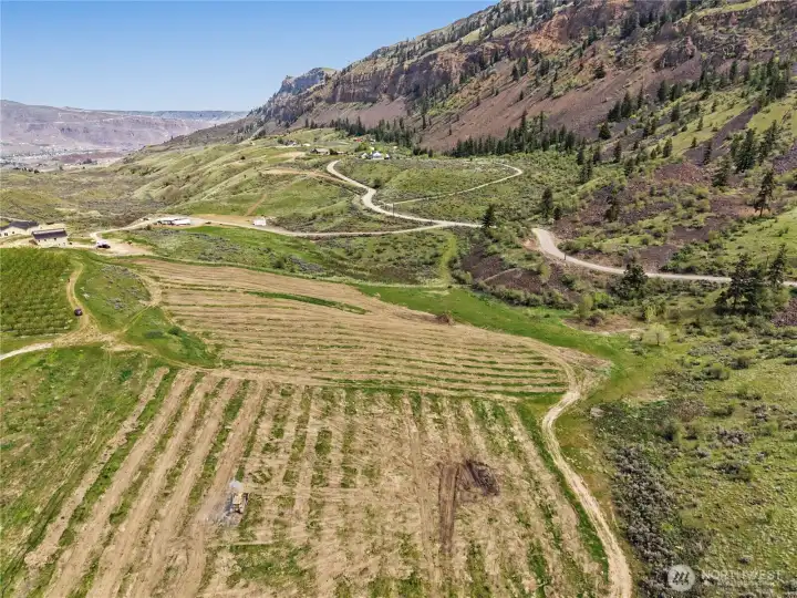 Southern section of property looking East