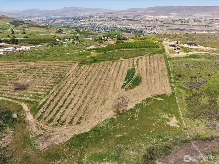 Eastern section of acreage looking North - Fence is eastern edge of property