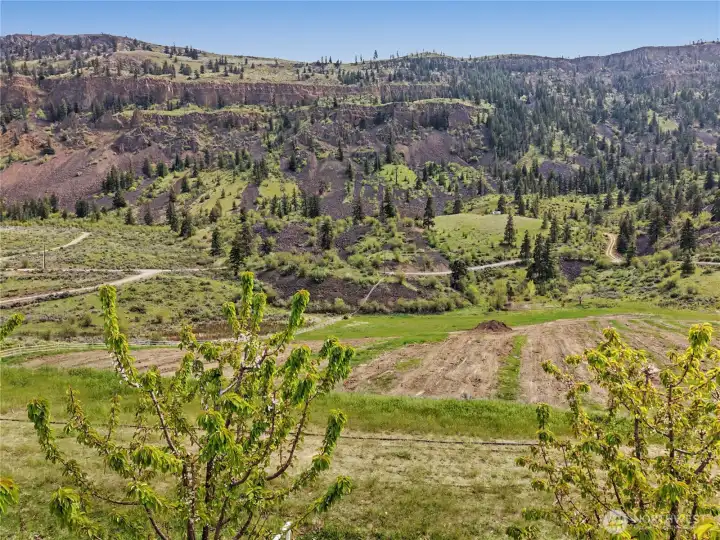 View from above the trees looking South toward mountains
