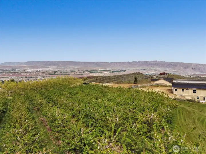 View from elevated acreage to the Northeast