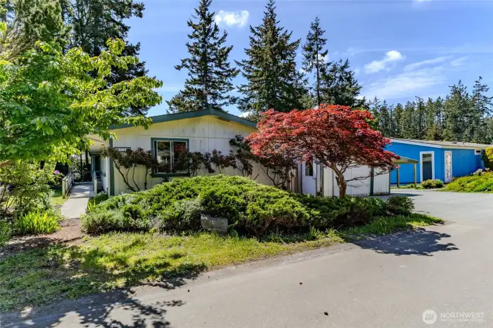 Welcome - 2119 Victoria Ave