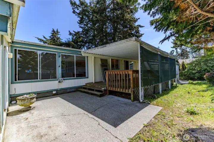 Backyard/Deck