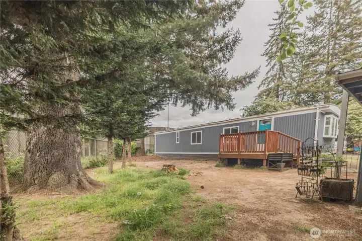 Rear Exterior with Deck & Mature Trees