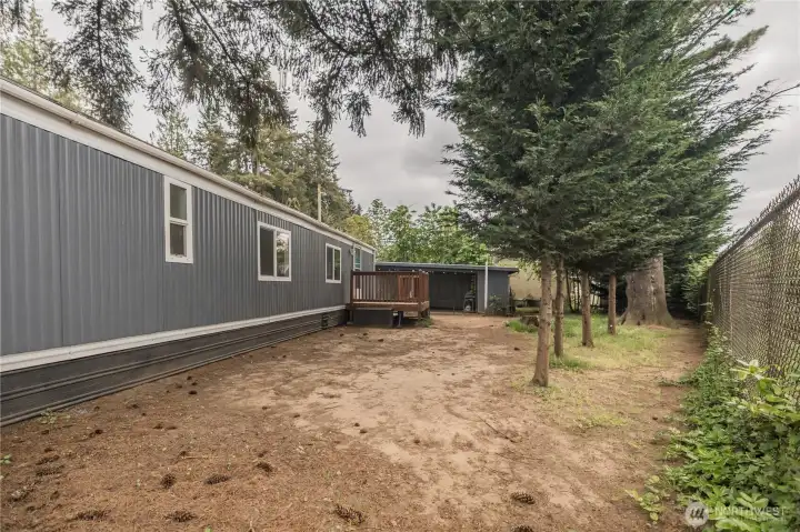 Side Yard with Privacy Fence & Trees