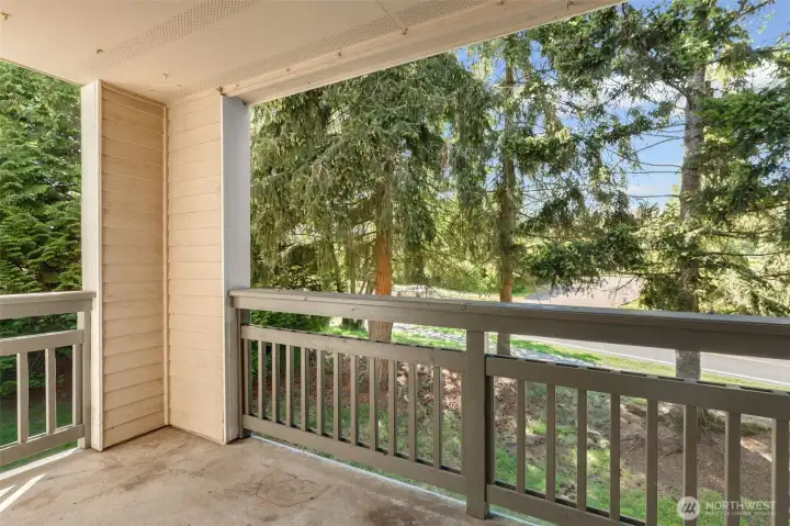 Living room balcony