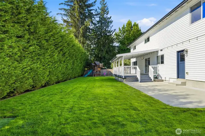 The backyard offers an incredible amount of usable space with lush lawn, mature privacy hedges, and room for everyone to spread out.