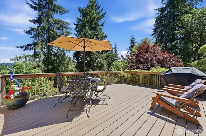 Expansive deck great for evening star-gazing or vibrant barbeques. Expansive deck great for evening star-gazing or vibrant barbeques.