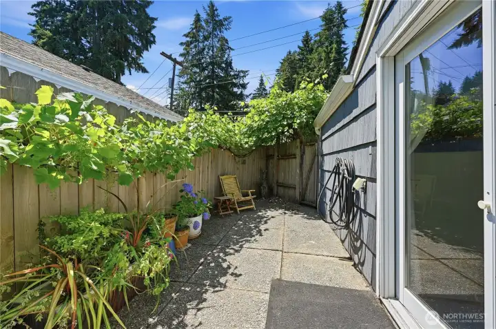 Side yard just steps from the primary bedroom. Side yard just steps from the primary bedroom.