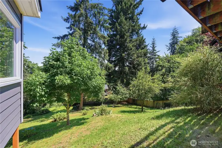Large yard with fruit trees and garden space. Large yard with fruit trees and garden space.