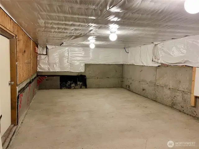Full height "crawl space" storage area. Insulated, lit and ultra dry.