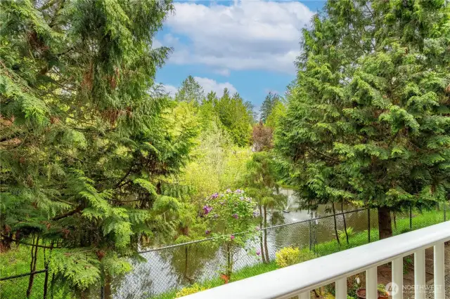 View from Balcony