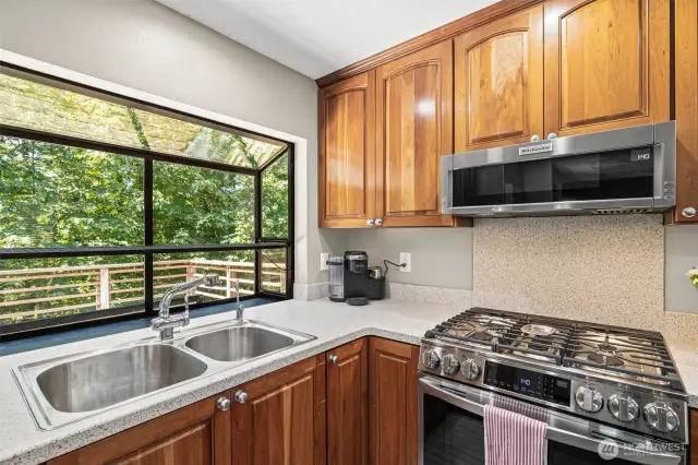 Look out to greenbelt from kitchen sink