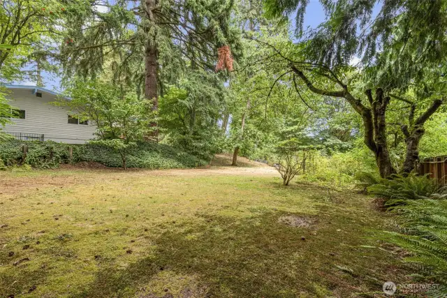 Back Yard Lower