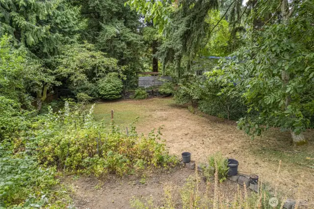 Back Gardens