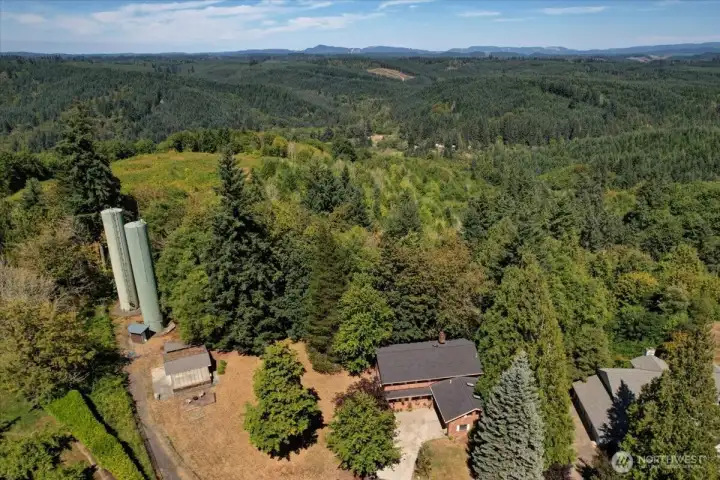 Overhead view -- forest behind the house.