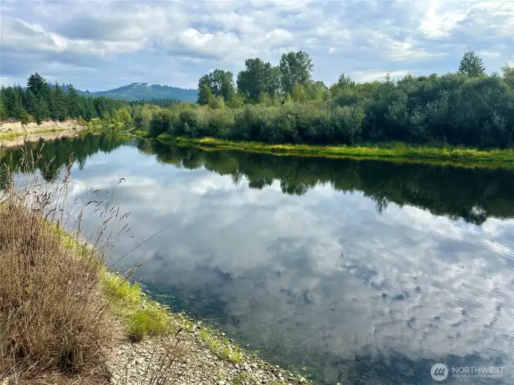 Imagine fishing, boating, and swimming in the Chehalis River.