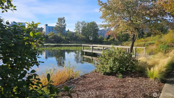 By the Lake