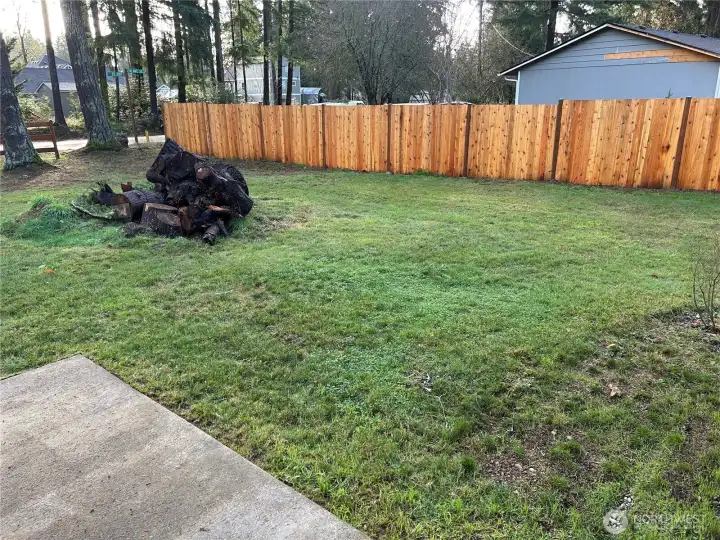 Brand new fence on one side of property. If buyer desires, seller will have stump removed from property.Or maybe cut for firewood?