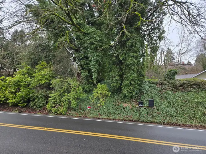 View of the property from Langston Road