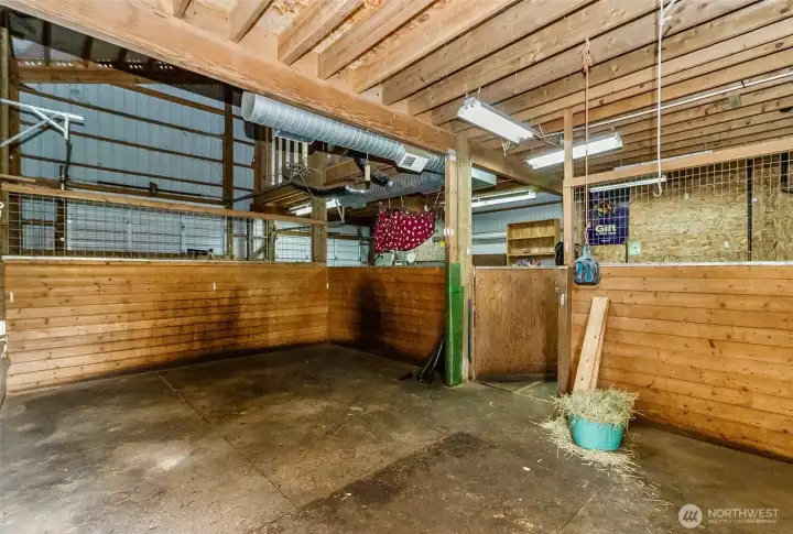 Large matted stalls