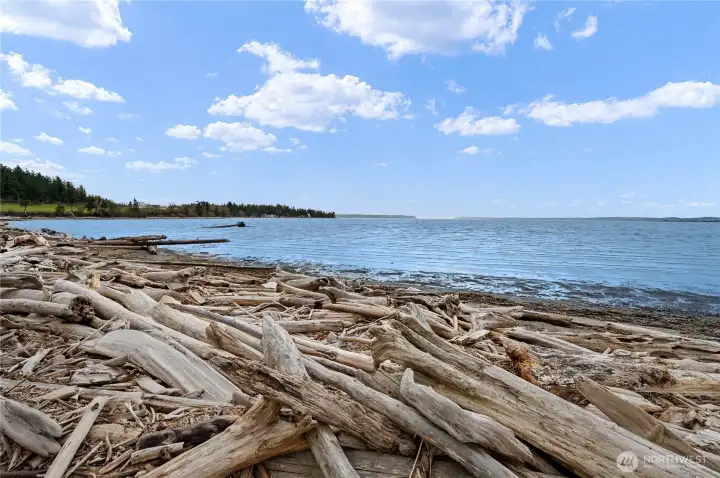community beach - Livingston Bay