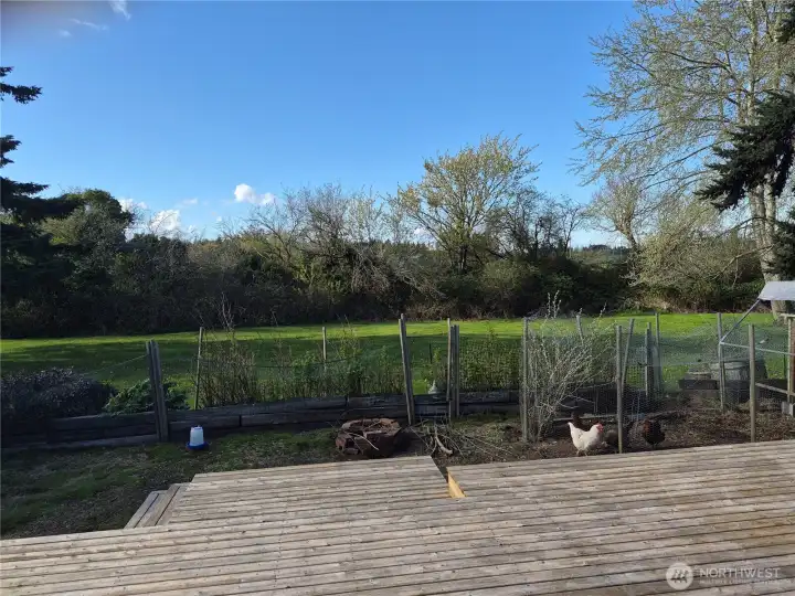 View from back deck