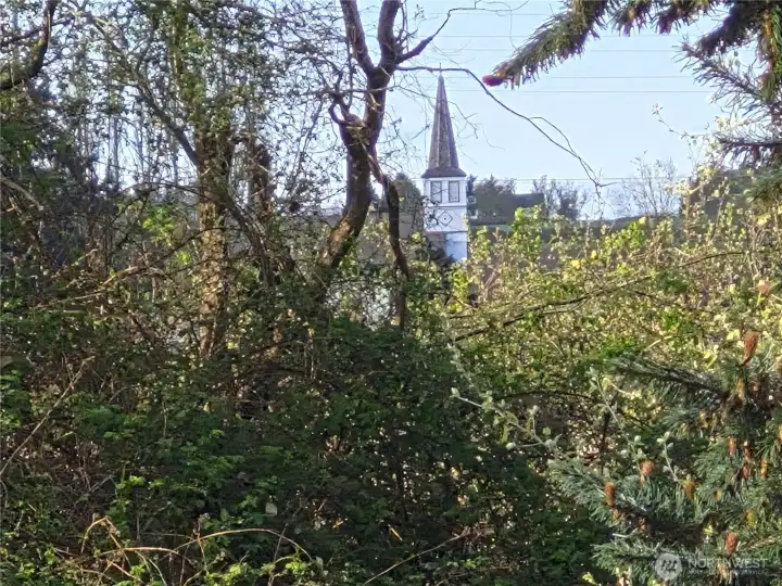 View from back deck