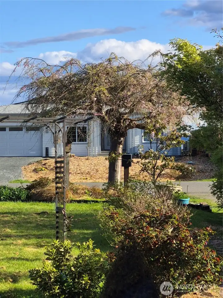 out front window