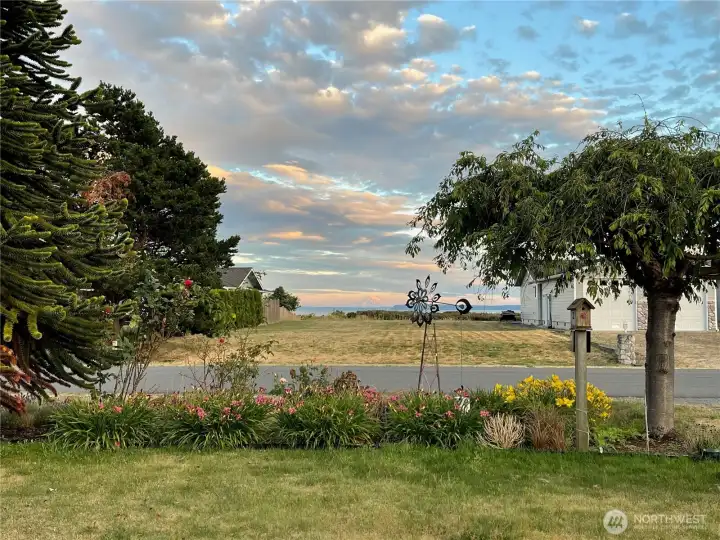 View before new house built