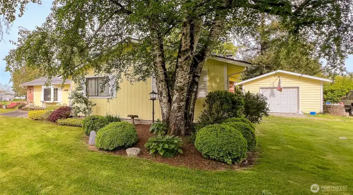 Beautiful yard, mature trees and two detached garages.