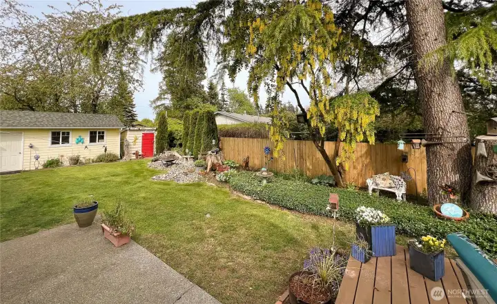 Spacious back yard, deck and patio.