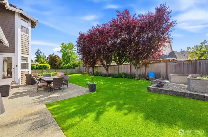 The private, fully fenced backyard features an expansive entertaining patio, a golf course-caliber lawn with irrigation, raised garden beds, and mature raspberry and blackberry plantings.